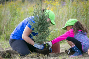 Plant a Tree